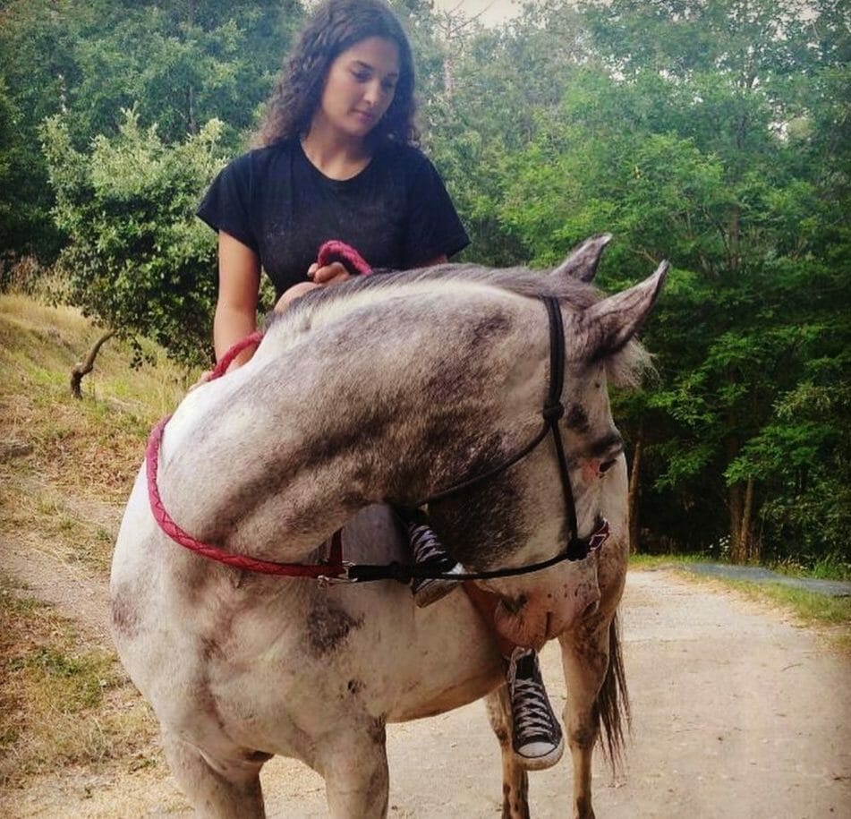 Cavallo Monterosso_cicero
