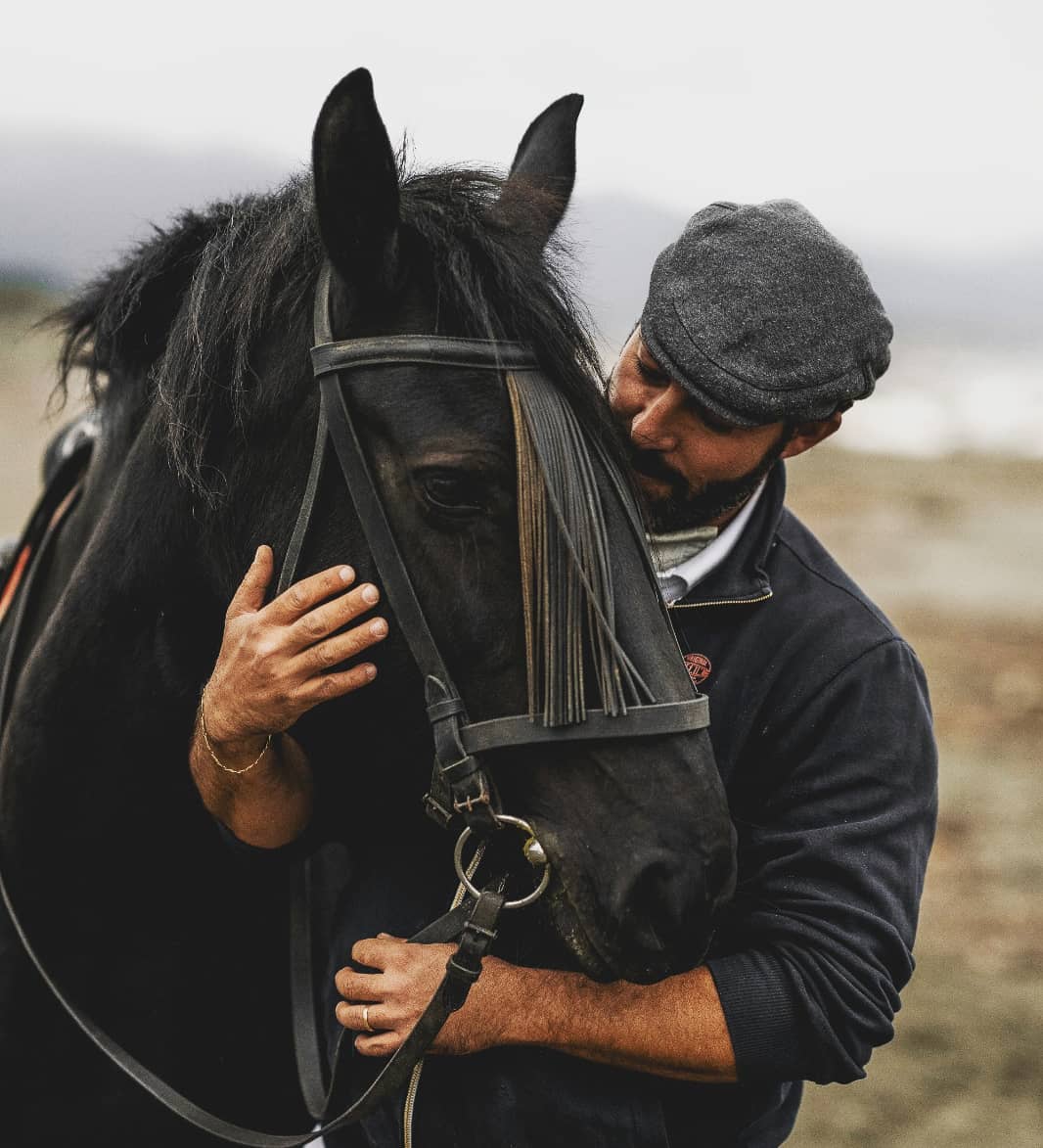 cavallo sarzana fiume_cicero